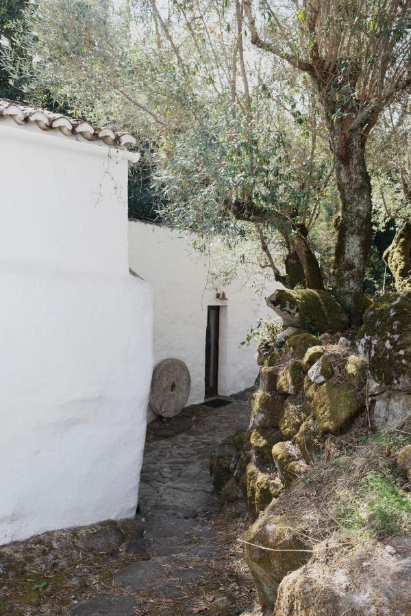 Serra Vida - A Place Of Presence Santo António das Areias Εξωτερικό φωτογραφία