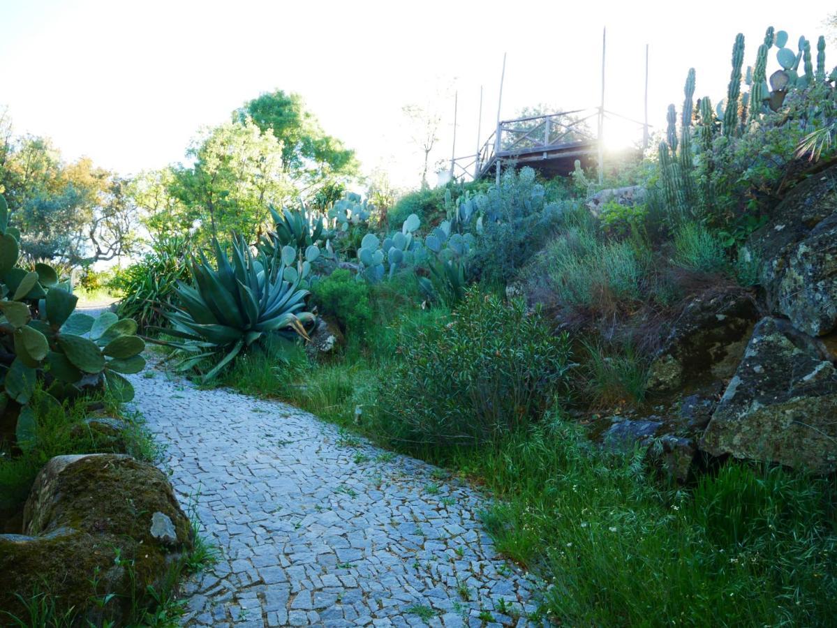Serra Vida - A Place Of Presence Santo António das Areias Εξωτερικό φωτογραφία