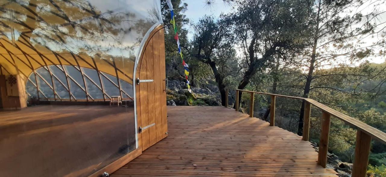 Serra Vida - A Place Of Presence Santo António das Areias Εξωτερικό φωτογραφία