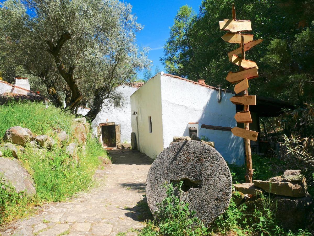 Serra Vida - A Place Of Presence Santo António das Areias Εξωτερικό φωτογραφία