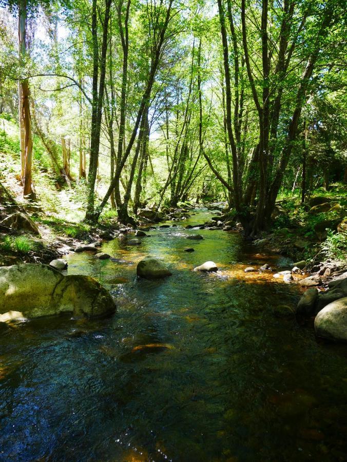 Serra Vida - A Place Of Presence Santo António das Areias Εξωτερικό φωτογραφία