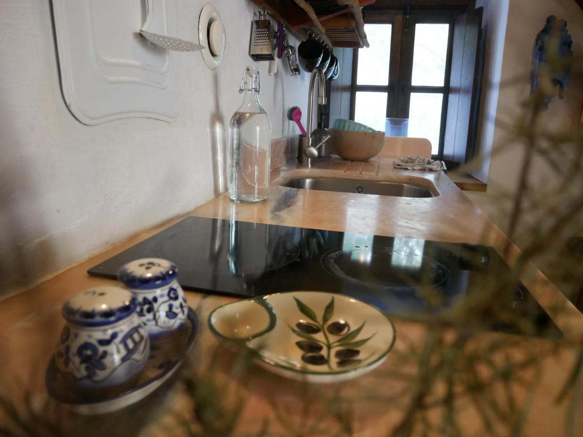 Serra Vida - A Place Of Presence Santo António das Areias Εξωτερικό φωτογραφία