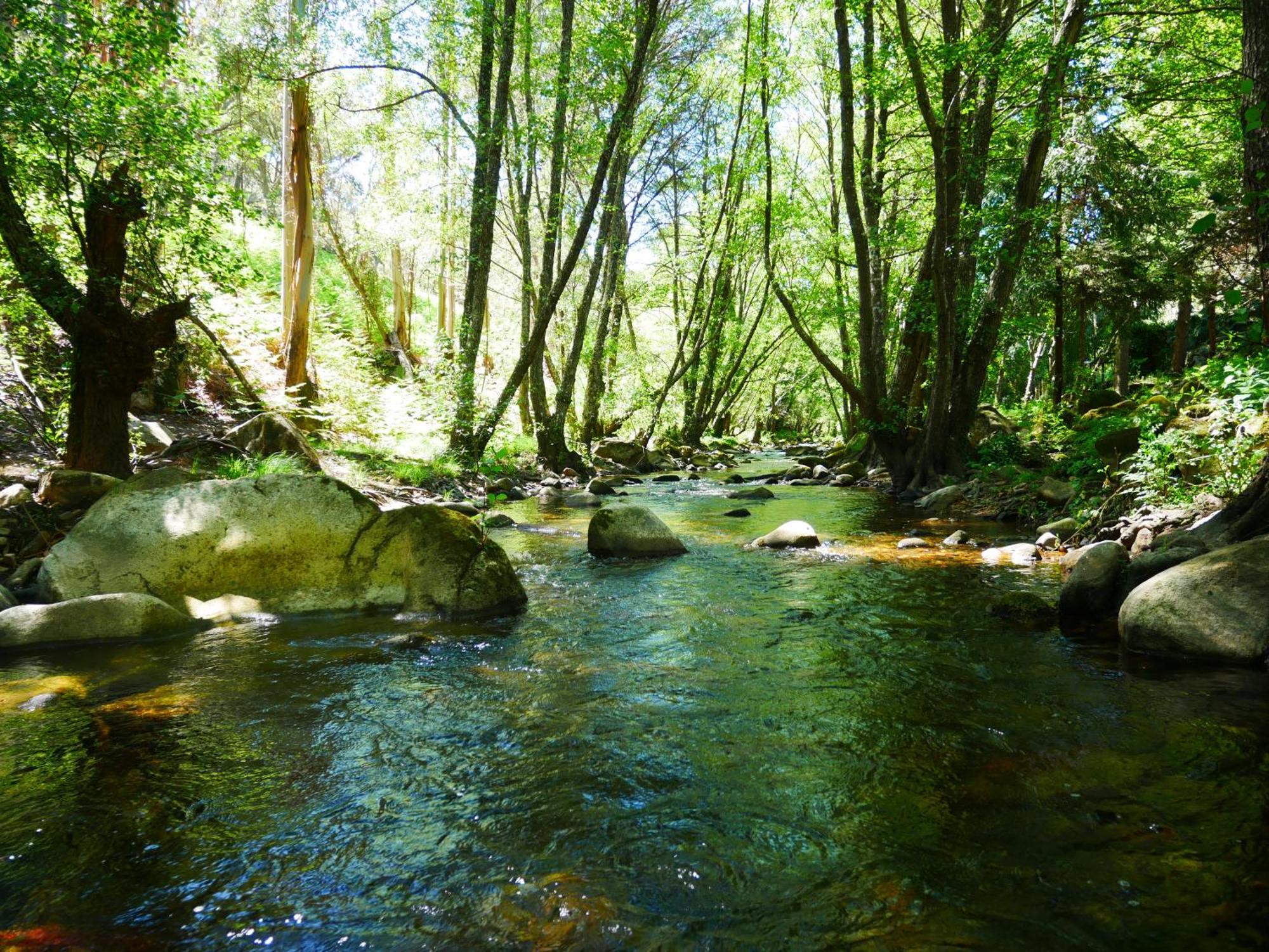 Serra Vida - A Place Of Presence Santo António das Areias Εξωτερικό φωτογραφία