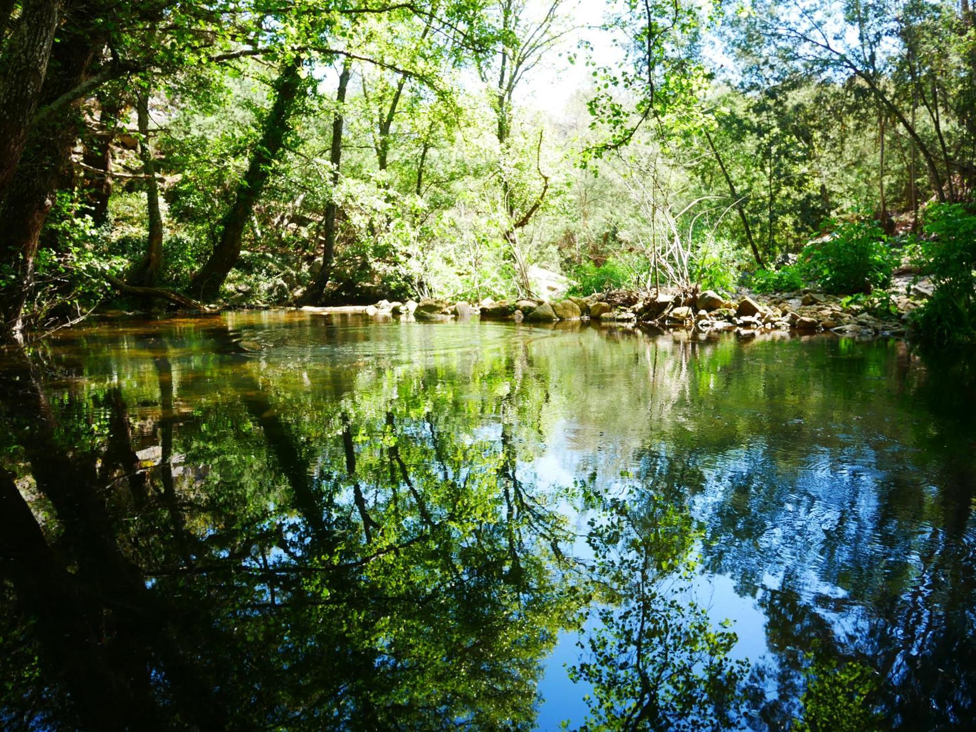 Serra Vida - A Place Of Presence Santo António das Areias Εξωτερικό φωτογραφία
